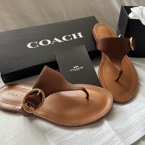 Coach Brown Leather Lesli Sandal with Gold Tone Buckle and Original Box